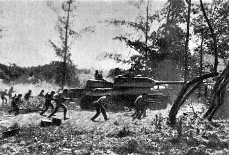 450px-Attack_near_Playa_Giron._April_19,_1961._-_panoramio